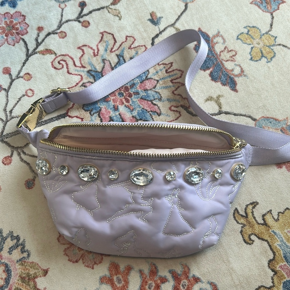 Disney Stoneyclover fanny pack